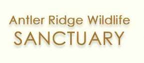 Antler Ridge Wildlife Sanctuary