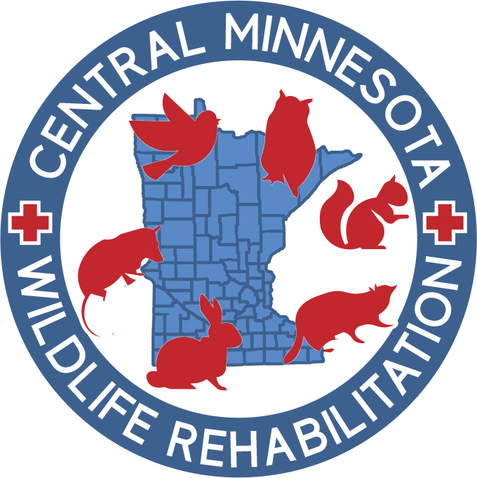 Central Minnesota Wildlife Rehabilitation