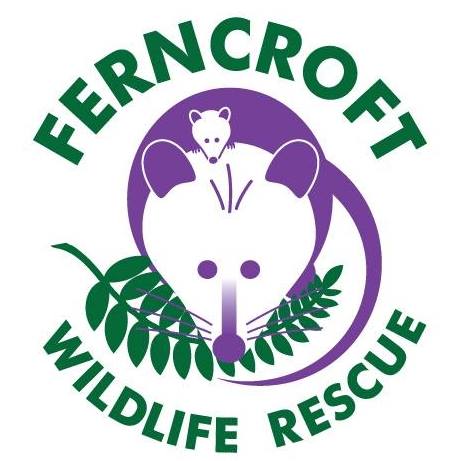 Ferncroft Wildlife Rescue