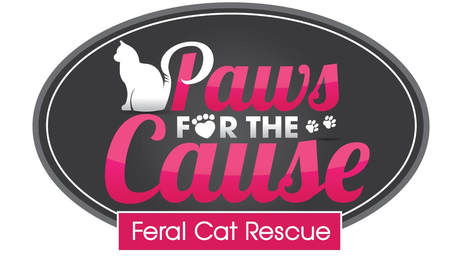 Paws for the Cause Feral Cat Rescue