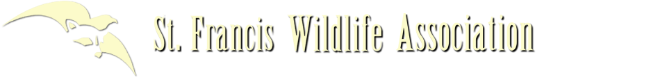 St. Francis Wildlife Association