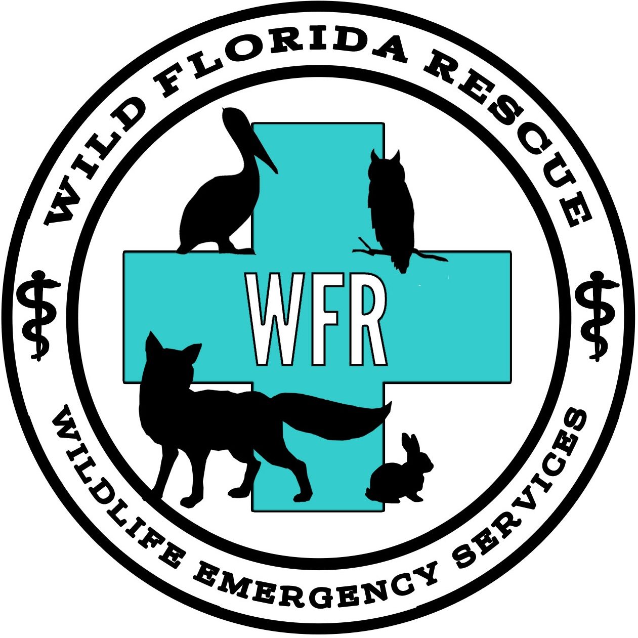 Wild Florida Rescue